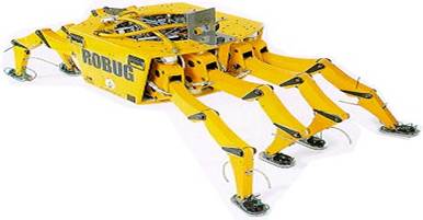robug.jpg